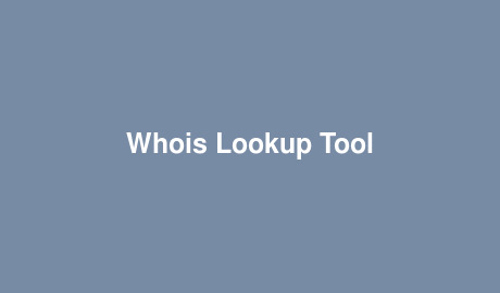 Whois Lookup Tool